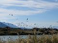 2014-1110-1500_Malaga_Spain_19C